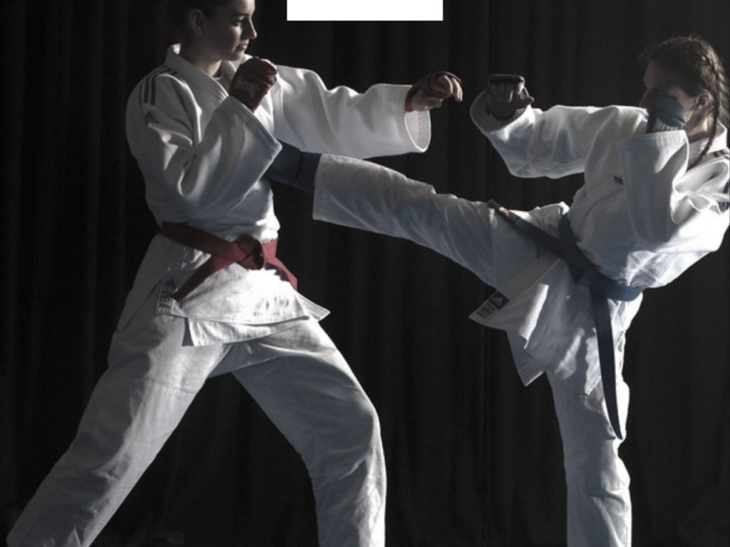 Image de l'actu 'STAGE JUJITSU 24 SEPTEMBRE 2023 - SAINT MIHIEL'