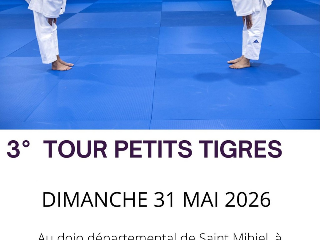Image de l'actu '3ème Tour Petits Tigres'